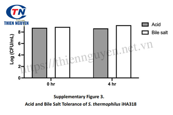 Streptococcus thermophilus iHA318® ổn định trong môi trường acid dịch vị và muối mật