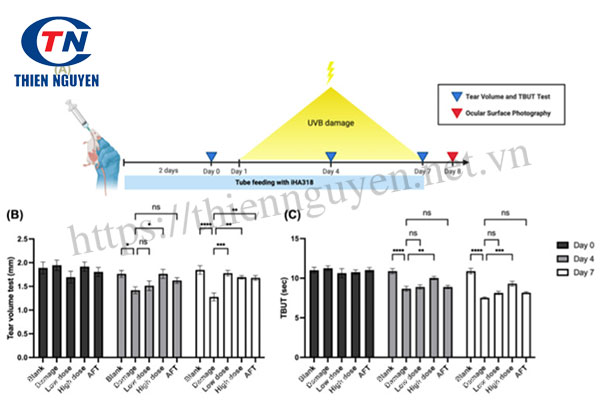 Tác động của Streptococcus thermophilus iHA318® lên thể tích nước mắt và độ ổn định của màng nước mắt ở mô hình chuột mắc bệnh khô mắt