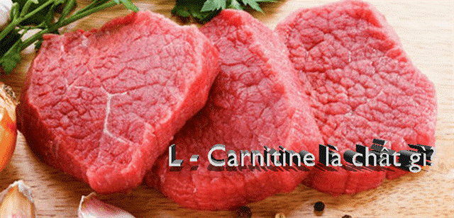 L- carnitine và những điều cần biết 3