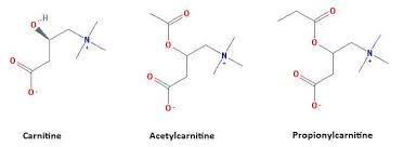 các dẫn xuất của carnitine, L-Carnitine