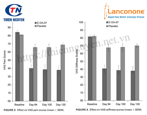 Tác dụng giảm đau khớp của Lanconone®  kéo dài 6 tuần sau khi ngừng sử dụng.