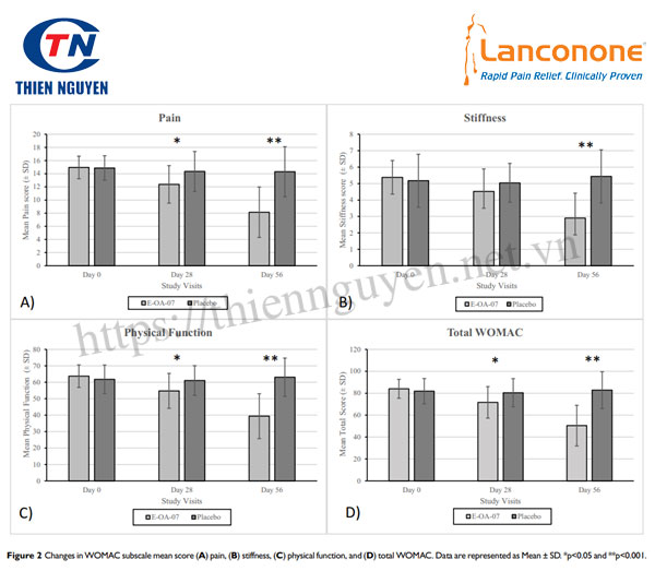 Lanconone® giúp giảm đau khớp, cải thiện khả năng vận động ở những người bệnh viêm khớp mãn tính.