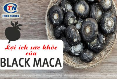 “Siêu thực phẩm” Maca đen (Black maca) và những lợi ích tuyệt vời cho sức khỏe