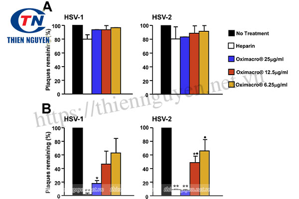 Oximacro®   ức chế sự bám dính của HSV vào các tế bào đích