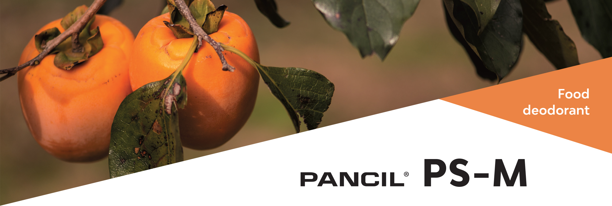 Pancil® – Chất khử mùi chiết xuất từ quả hồng