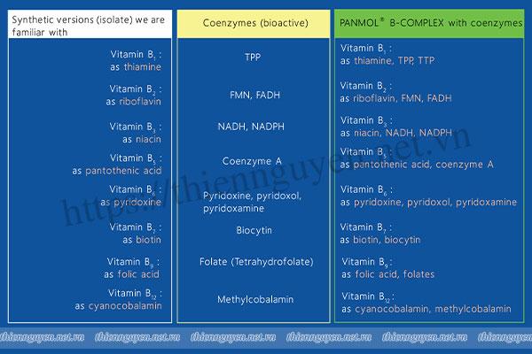 PANMOL® B-COMPLEX là sự kết hợp của vitamin B với các coenzyme của nó giúp tạo nên hoạt tính sinh học 