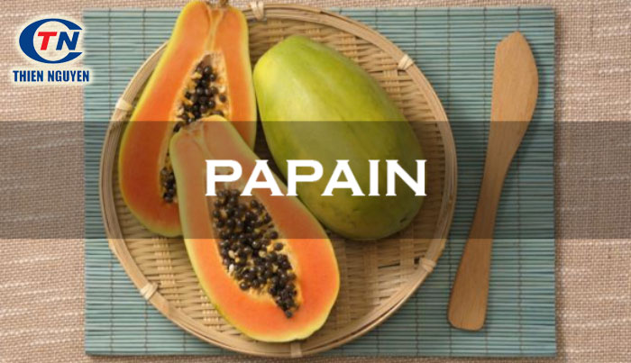 Papain là enzyme chiết xuất từ đu đủ