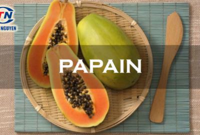 Papain (Carica Papaya Extract) – Chiết Xuất Đu Đủ