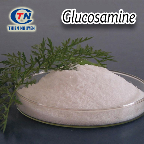 Glucosamine nguyên liệu tpcn xương khớp