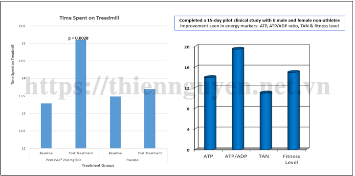 Chiết xuất Shilajit làm tăng nồng độ ATP trong cơ thể