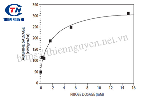 D-Ribose giúp hồi phục năng lượng sau tập luyện cường độ cao.