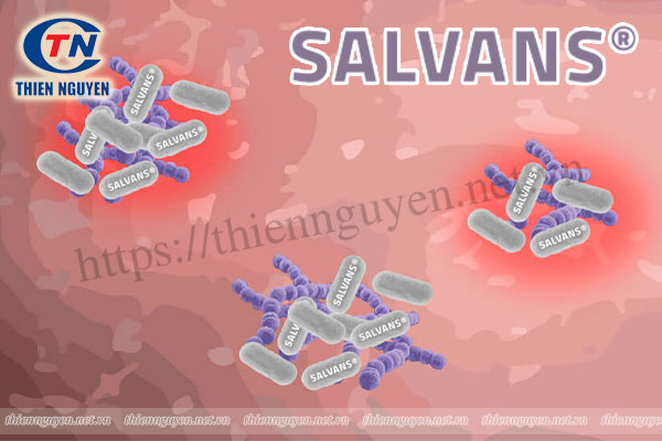 Salvans® - Lactobacillus crispatus (DSMZ 25988)