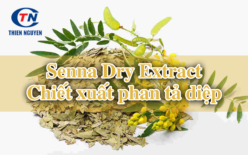 senna dry extract chiết xuất phan tả diệp