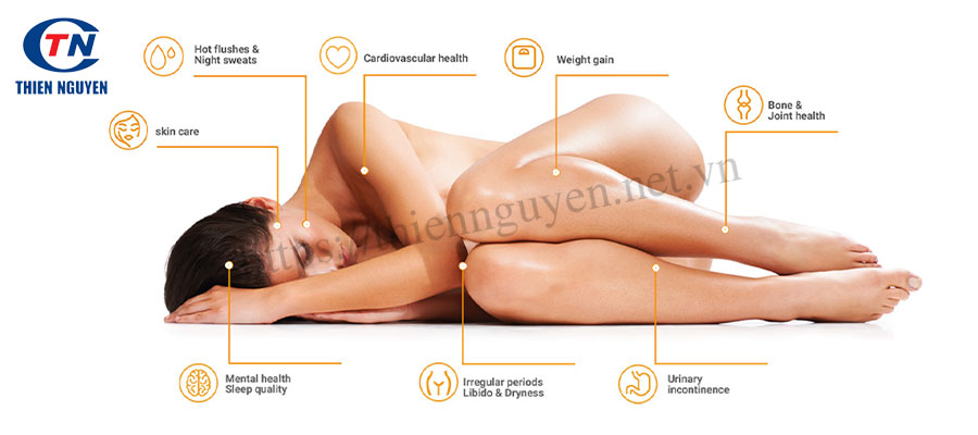 Các tác dụng của chiết xuất mầm đậu nành Solgen®