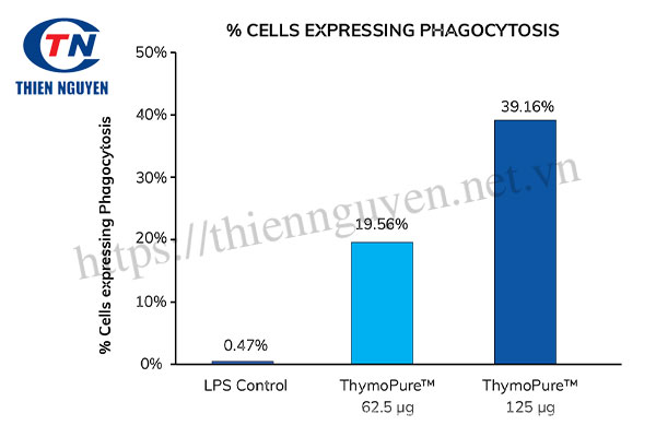 ThymoPure™ giúp bảo vệ và tăng cường hệ miễn dịch