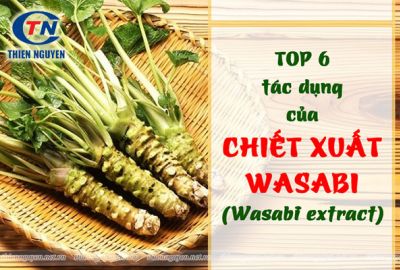 Top 6 tác dụng của chiết xuất Wasabi (Wasabi extract) tới sức khỏe – Bạn đã biết chưa?