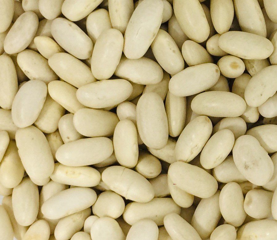 Đậu thận trắng - white kidney bean extract