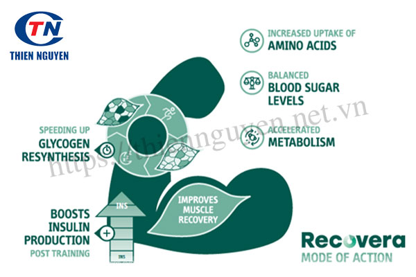 RECOVERA - Chiết xuất xương rồng Nopal  