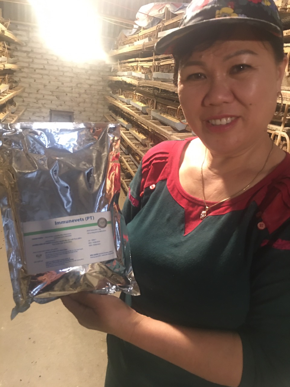Chị Lưu Thị Ngàn với trang trại nuôi chim cút có sử dụng Immunevets®