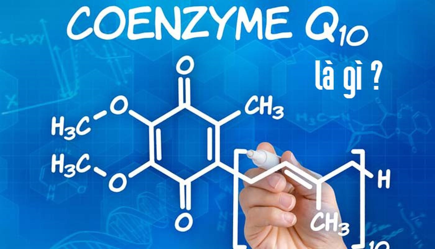 nguyên liệu chống oxy hóa, coenzyme q10 chống oxy hóa