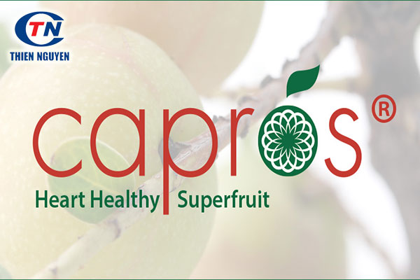 Capros là chiết xuất từ quả me rừng có tác dụng hạ cholesterol, giảm mỡ máu