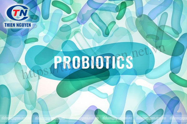 Chế phẩm sinh học probiotics giúp điều trị các bệnh về tiêu hóa và dạ dày