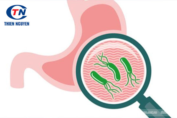 Vi khuẩn Helicobacter pylori là tác nhân làm nặng hơn tình trạng viêm loét dạ dày tá tràng
