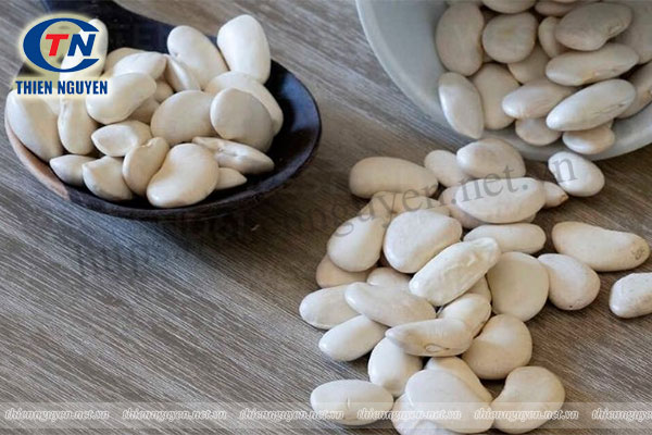 nguyên liệu tpcn giảm cân chiết xuất đậu thận trắng white kidney bean extract