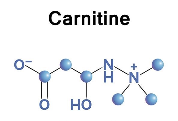 nguyên liệu tpcn, nguyên liệu l carnitine