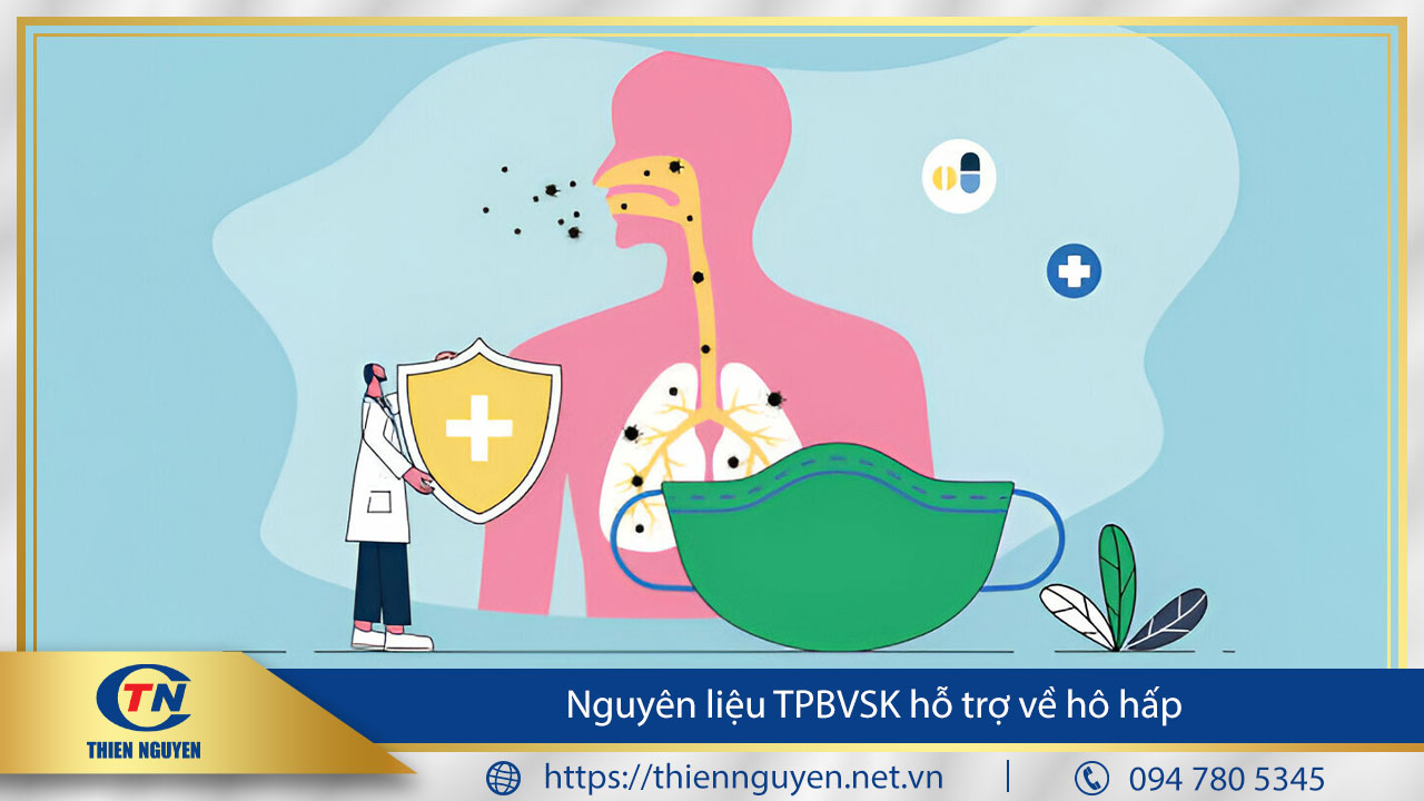 Cập nhật danh sách nguyên liệu cho sản phẩm TPBVSK hỗ trợ hô hấp – Tháng 1/2025.