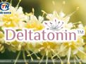 Deltatonin™ (Chiết xuất hoa nhãn) – Một phát hiện mới giúp cải thiện tình trạng mất ngủ.